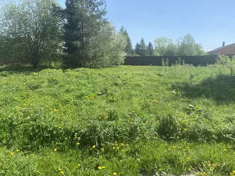 Участок в Московская область, Пушкинский городской округ, д. Михалево  ...
