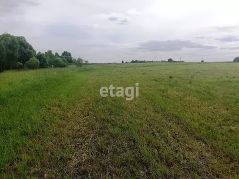 Участок в Костромская область, Костромской район, Кузнецовское с/пос, ...