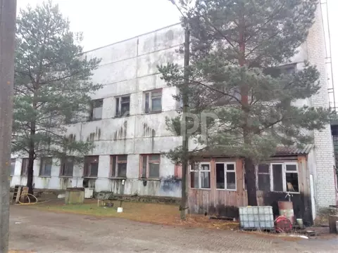 Производственное помещение в Брянская область, Брянск Радица-Крыловка ...