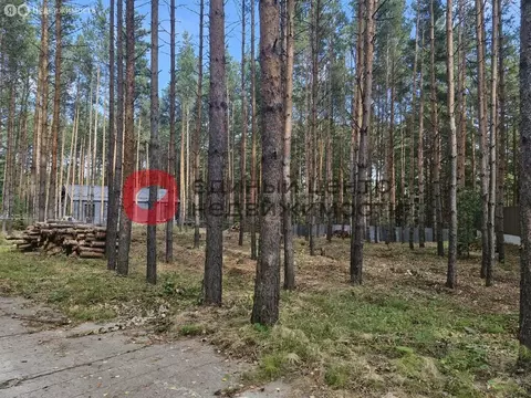 Участок в Тюменский муниципальный округ, село Кулига, микрорайон ...