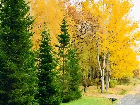 Участок в Московская область, Одинцовский городской округ, Супонево ...