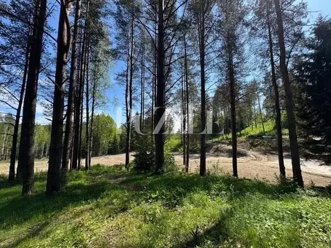 Участок в Ленинградская область, Всеволожский район, Бугровское ...