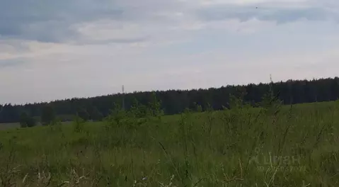 Участок в Московская область, Дмитровский муниципальный округ, д. ...