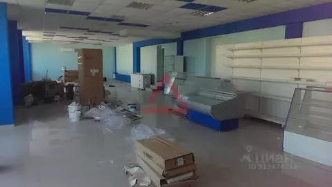Помещение свободного назначения в Севастополь ул. Щитовая, 33А (250 м)