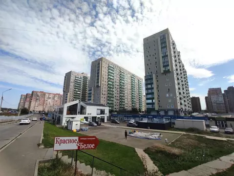 Помещение свободного назначения в Краснодарский край, Краснодар ул. ...