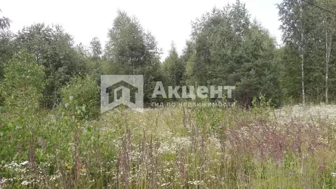 Участок в Ивановская область, Ивановский район, Куликовское с/пос, с. ...