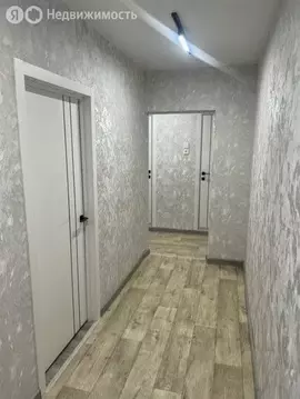 3-комнатная квартира: Воронеж, Спортивная набережная, 19 (63.5 м)