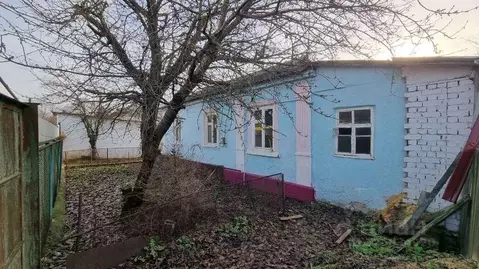 Дом в Белгородская область, Белгород ул. Александра Невского (80 м)