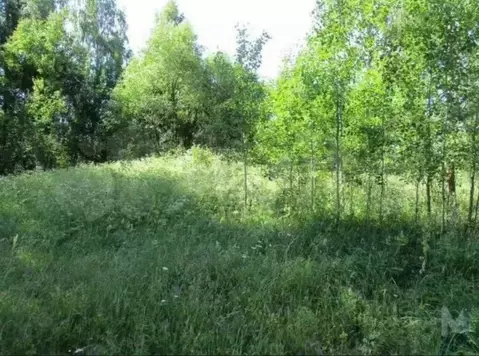 Участок в Воронежская область, Семилукский район, Губаревское с/пос, ...