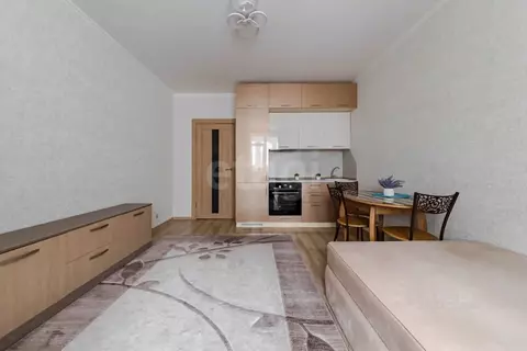 Студия Ленинградская область, Мурино Всеволожский район, бул. ...