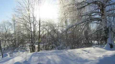 Участок в Московская область, Рузский муниципальный округ, с. Старо  ...