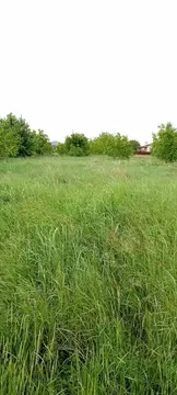 Участок в станица Новотитаровская, улица Покрышкина (5.3 м)
