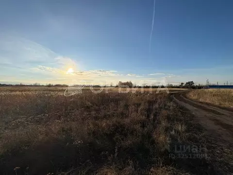 Участок в Тюменская область, Тюменский муниципальный округ, д. ...