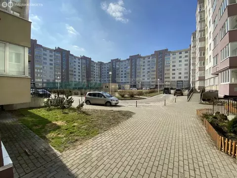 3-комнатная квартира: Калининград, улица Виктора Денисова, 18 (84 м)