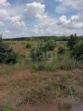 Участок в Саратовская область, Самойловский район, Святославское ...