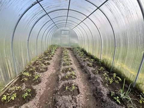 Участок в Псковская область, Псковский район, Середкинская волость, д. ...