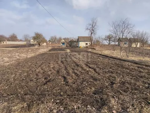 Участок в Брянская область, Брянский район, Мичуринское с/пос, ...