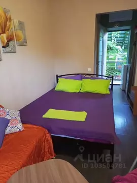 Комната Крым, Ялта муниципальный округ, Симеиз пгт ул. Советская, 60А