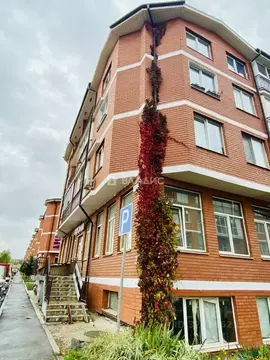 Студия Московская область, Одинцовский городской округ, с. Немчиновка ...