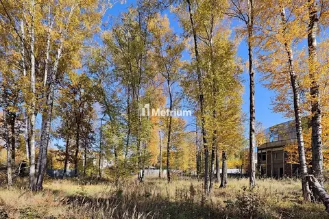 Участок в Москва д. Зименки, Антоновка кп, ул. Земляничная (82.0 сот.)