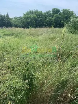 Участок в Белгородская область, Белгородский район, Поселок Разумное ...