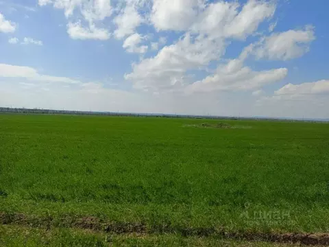 Участок в Краснодарский край, Анапа муниципальный округ, Гостагаевская ...