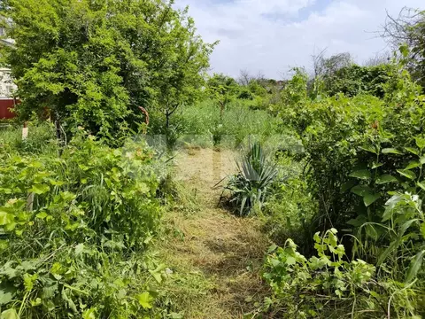 Участок в Краснодарский край, Анапа муниципальный округ, Анапская ...