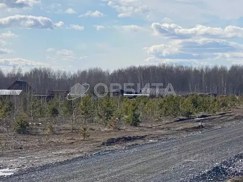 Участок в Тюменская область, Тюменский район, с. Кулига  (10.98 сот.)