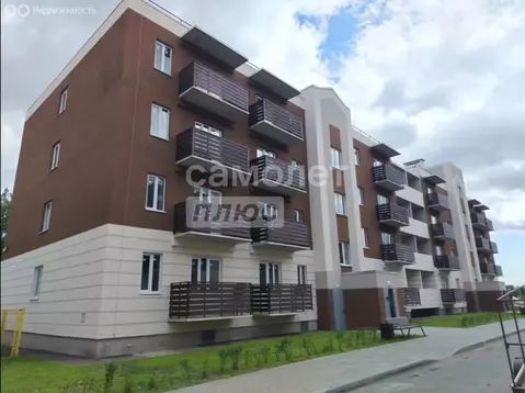 Квартира-студия: Новая Усмань, Полевая улица, 22А/5 (24.4 м)