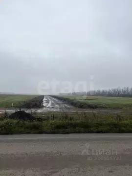 Участок в Ставропольский край, Шпаковский муниципальный округ, с. ...