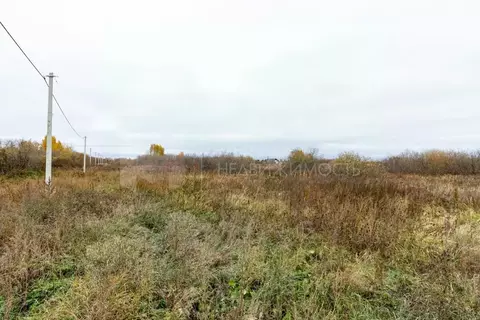 Участок в Тюменская область, Тюмень Рябинка-2 садовое товарищество,  ...