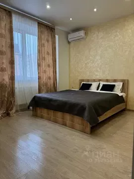 1-к кв. Ставропольский край, Минеральные Воды ул. Новоселов, 5к2 (45.0 ...