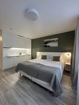 Студия Санкт-Петербург ул. Салова, 61 (24.8 м)