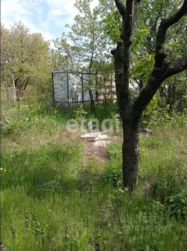 Участок в Ростовская область, Таганрог Дружба-1 ДНТ, аллея 1-я (6.0 ...