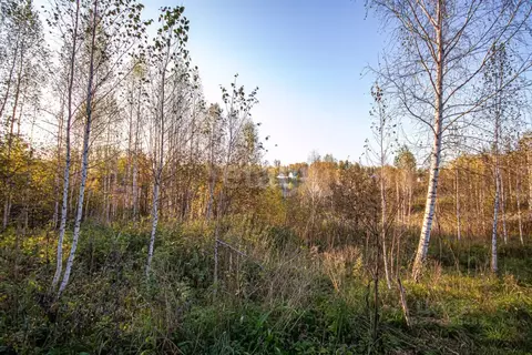 Участок в Новосибирская область, Новосибирский район, Раздольненский ...