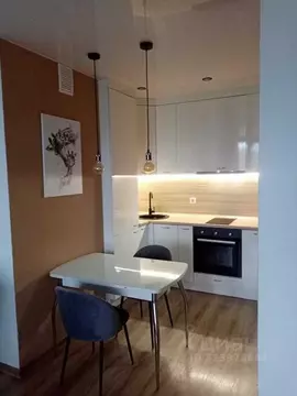 1-к кв. Свердловская область, Екатеринбург ул. Заводская, 73 (38.0 м)