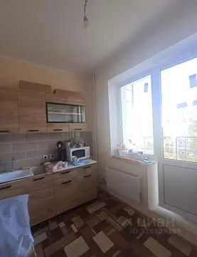 1-к кв. Саратовская область, Саратов проезд 5-й Динамовский, 4к1 (24.0 ...