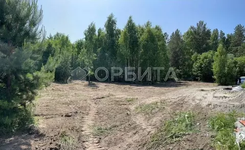 Участок в Тюменская область, Тюменский муниципальный округ, с. Гусево  ...