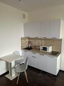 Студия Санкт-Петербург Фарфоровская ул., 7к2 (24.0 м)