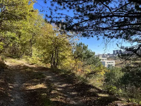 Участок в Крым, Ялта ул. Большевистская (30.0 сот.)