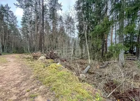 Участок в Ленинградская область, Выборгский район, Рощино городской ...