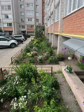 1-к кв. Вологодская область, Вологда Осановский проезд, 27 (34.5 м)