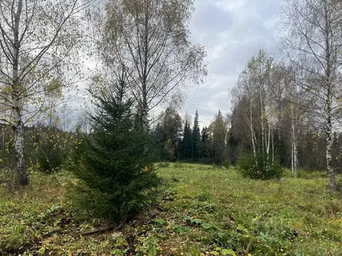 Участок в Московская область, Солнечногорск городской округ, д. ...