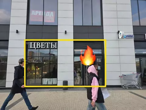 Помещение свободного назначения в Москва Каширский проезд, 25к4 (46 м)