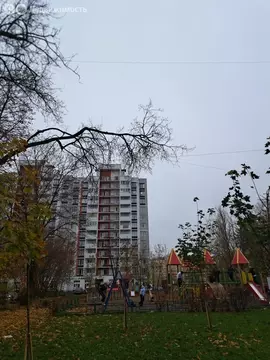 Квартира-студия: Ленсоветовский, 31 (24.2 м)