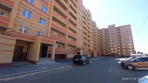 3-к кв. Марий Эл, Йошкар-Ола ул. Йывана Кырли, 31В (79.78 м)