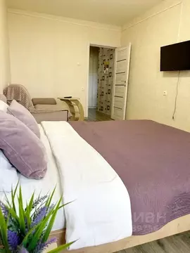 1-к кв. Воронежская область, Воронеж ул. Шишкова, 142/8 (38.0 м)