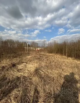 Участок в Московская область, Истра муниципальный округ, д. ...