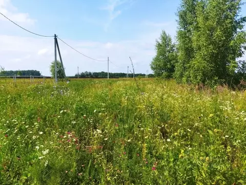 Участок в Тульская область, Ясногорский район, Иваньковское с/пос, д. ...