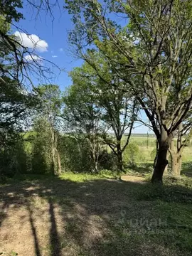 Участок в Калужская область, Совхоз Боровский с/пос, д. Николаевка  ...